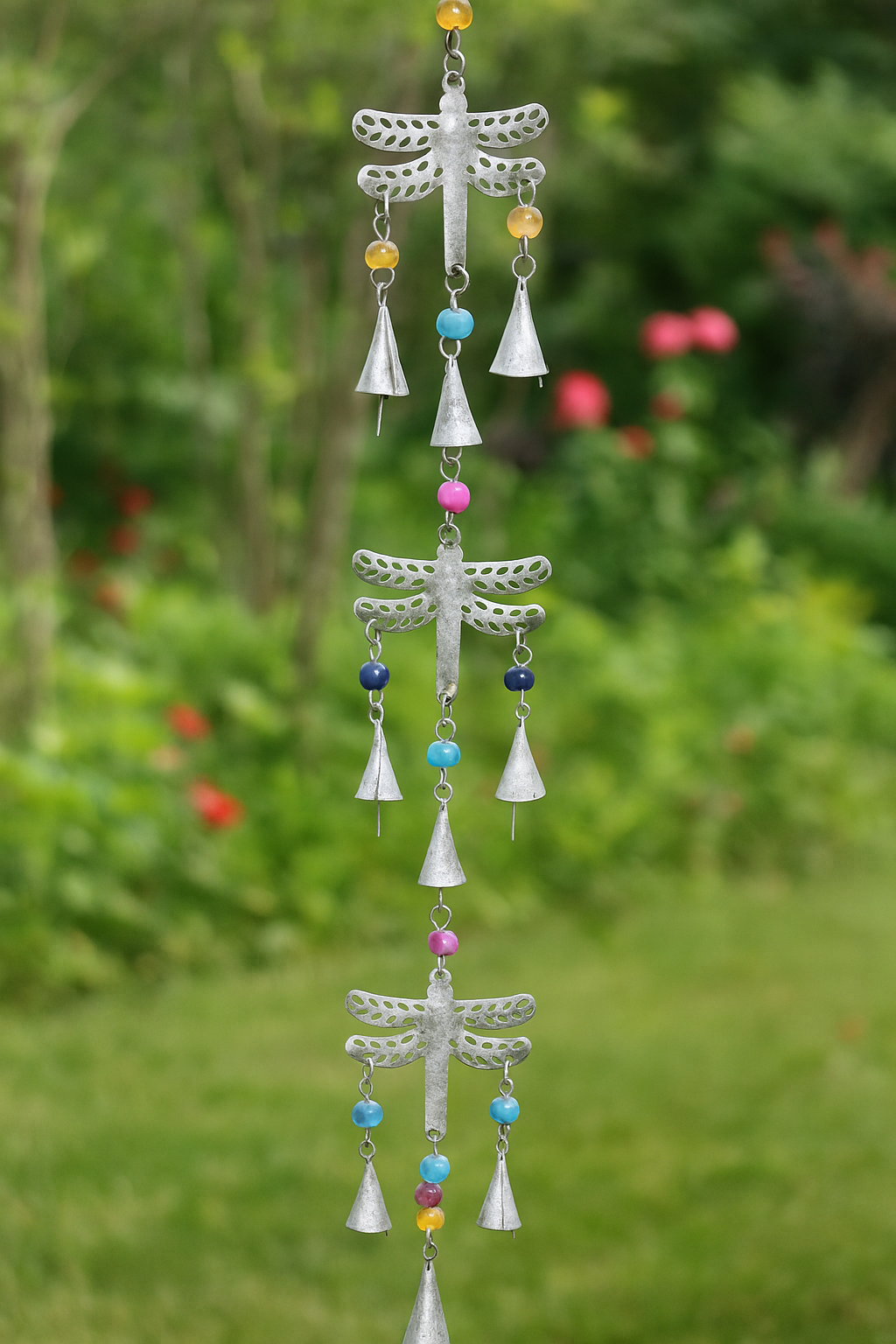 Long Hanging Dragonfly