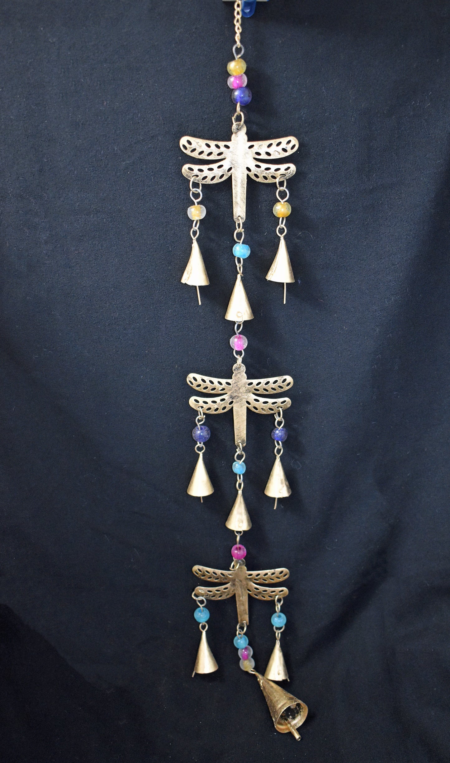 Long Hanging Dragonfly