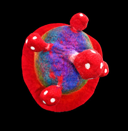 Rainbow Mushroom Felt Hat